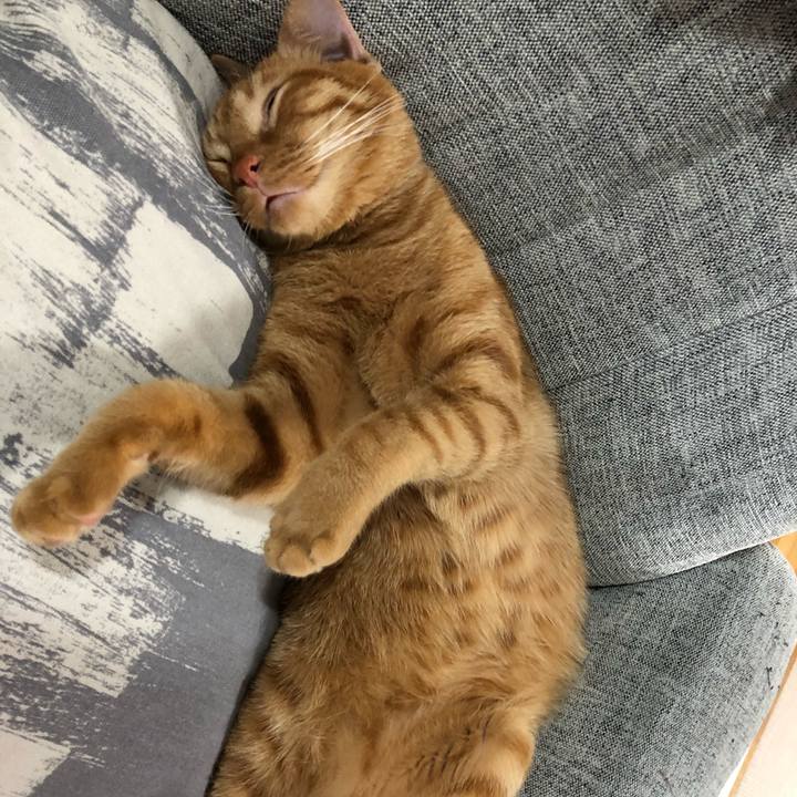 Bdbcd418 4d39 4978 8605 9131ff9b9219 1526390974538