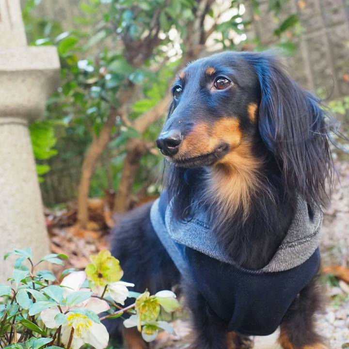 Bdbcdc30 57ea 4a10 bb7c 3b1f47aeb0a9 1518221623203