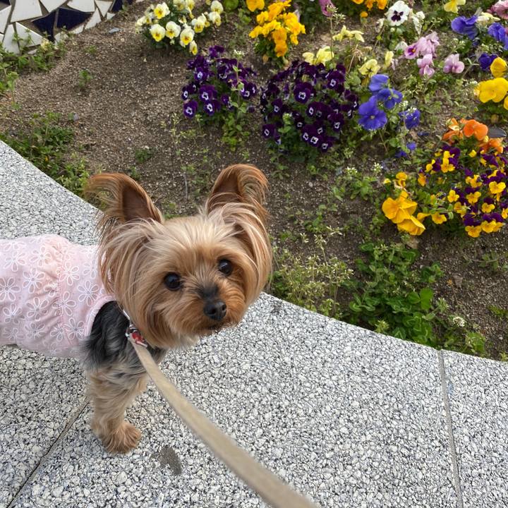 Bdbcdc5f 24f6 4f6e 98fd a8d78cd28d99 1616901031230