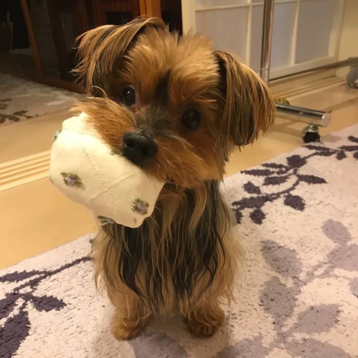 Bdbce3c2 0cc6 4507 b5c8 8b1d355c7d05 1508306675709