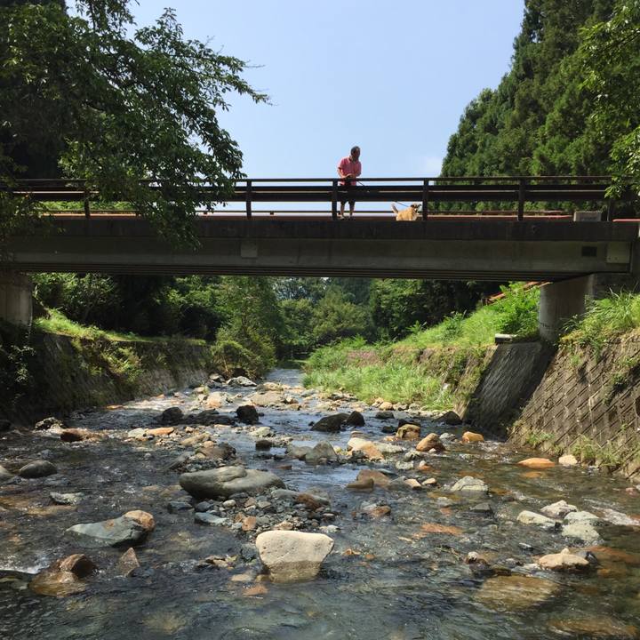 Bdbcfe69 fc12 484d 838d 68581416fbd0 1566110455324