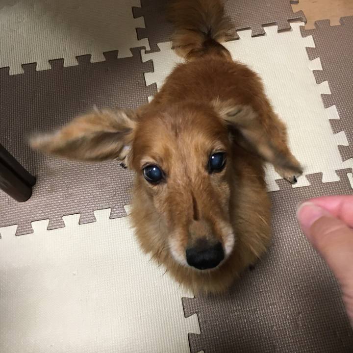 Bdbd0113 4eb1 4e5f ba48 031b3e0557ef 1596116841159