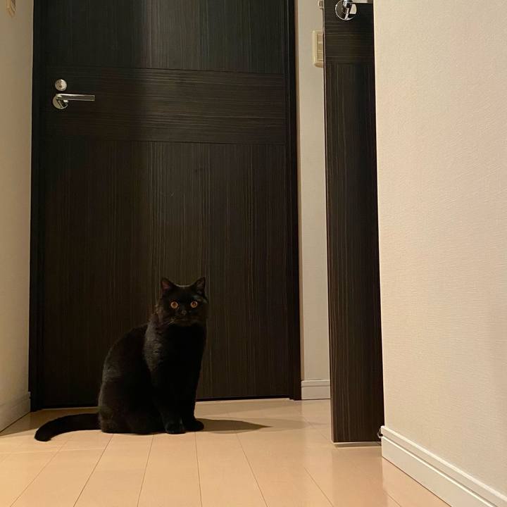 Bdbd2e26 d7d8 420c a148 1ae2fc59cdfc 1717252345612