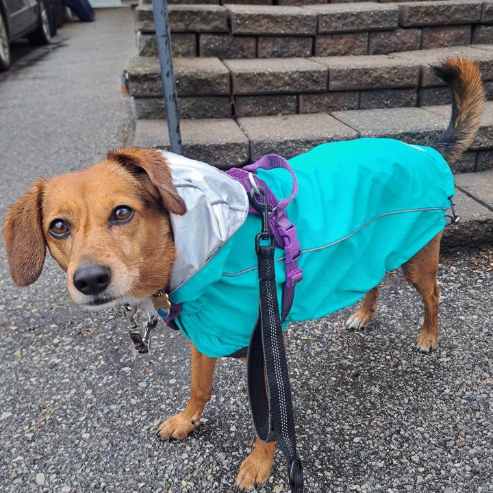 Bdbd63f6 9f72 4349 b7f5 1c6bf6ec4ecc 1774558608615