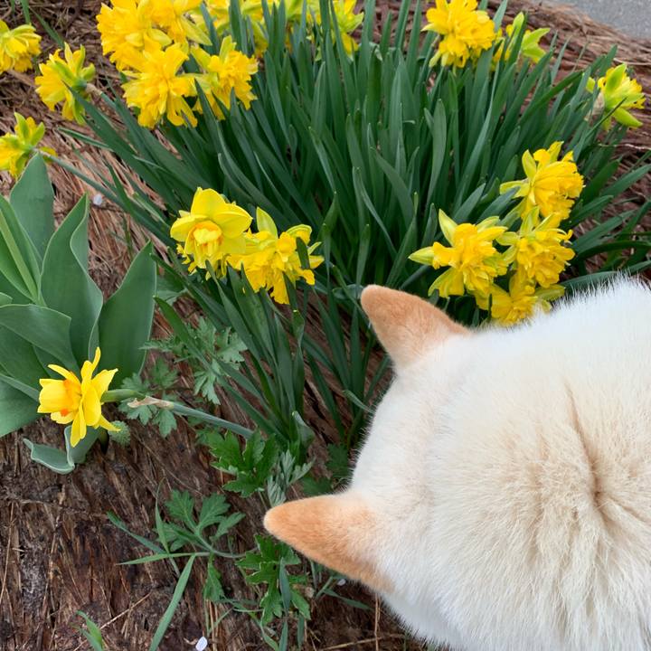 Bdbd7e1b 1062 400e a756 03c216d933db 1557470652023