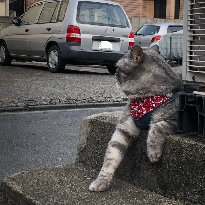 Bdbd9dfb 1c72 4cf1 93bb c9d1352bb2f2 1560856453683