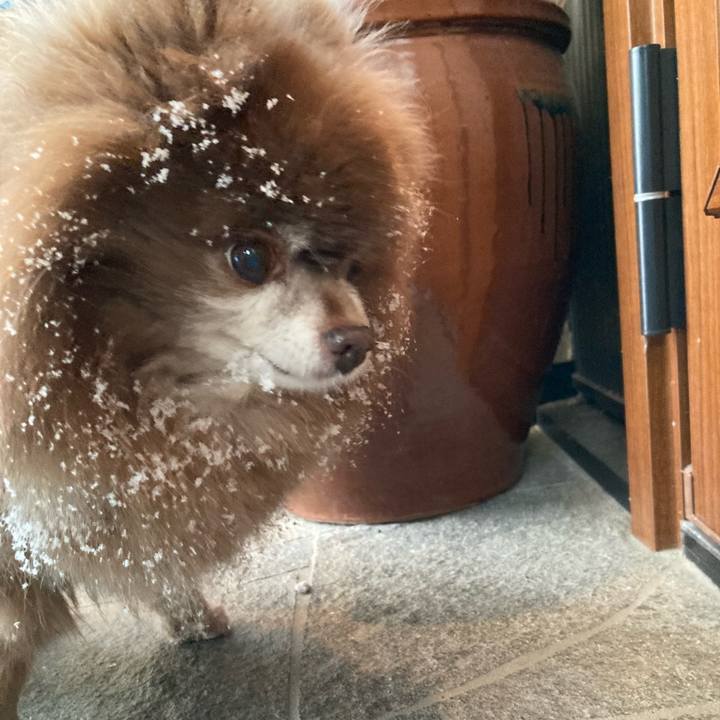 Bdbdeca9 9651 4eec a66f 5dbba0f4e543 1733002035367