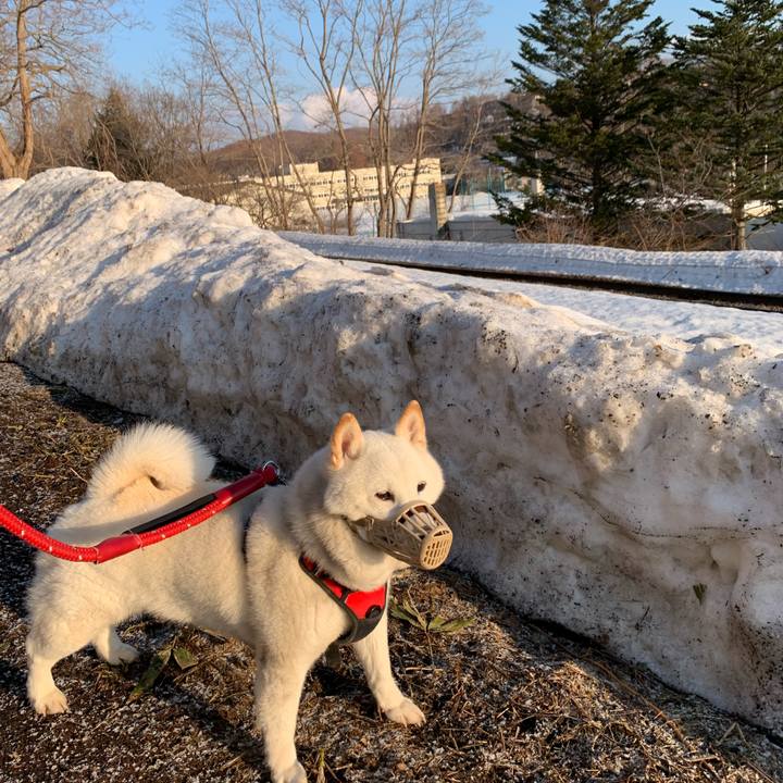 Bdbdeee8 8e20 4dfb be3f 6836e8e25a86 1679006508080