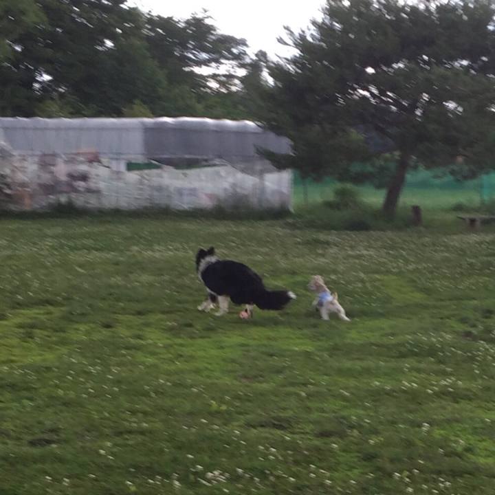 Bdbe0816 16b8 465a 9022 16e21be6e38d 1530428215164