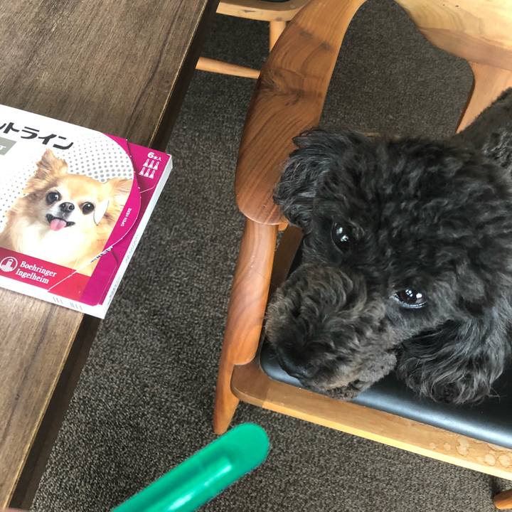 Bdbe1869 1c7d 4121 b8b6 1964771b03b4 1592037337326