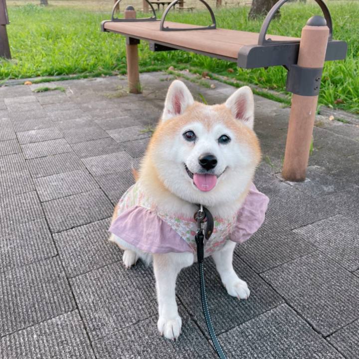 Bdbe3985 c248 4d53 a0ba 09b43629edd4 1631748621776