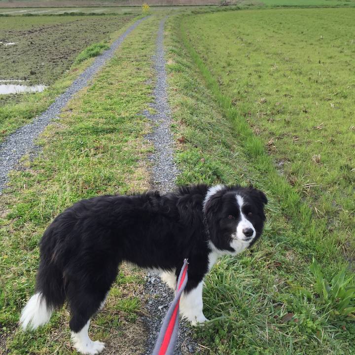 Bdbe4a8f ec73 47b9 bdf2 12ba03c25fc0 1552355401564