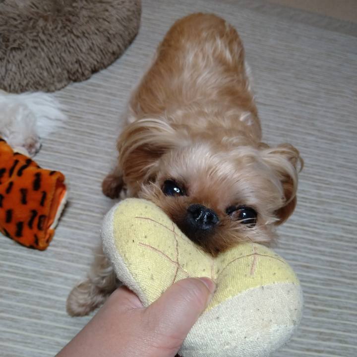 Bdbe5bd5 8021 497c ba67 38245fa2c6b1 1614038075657