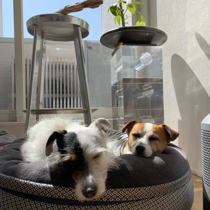 Bdbe8689 5db8 4bf1 b3a5 feec08d121b7 1615948517979