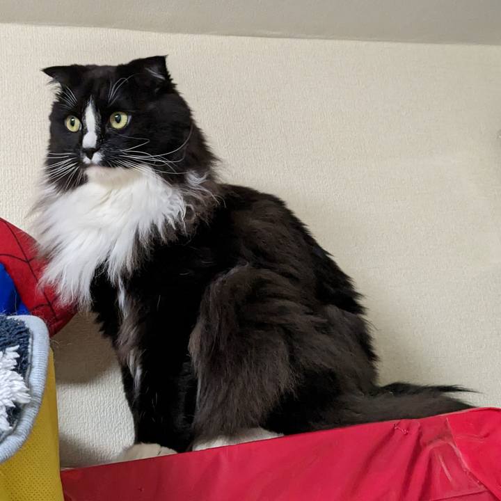 Bdbe9d2f e47d 4572 bdf3 987c6d26fe4f 1676804591983