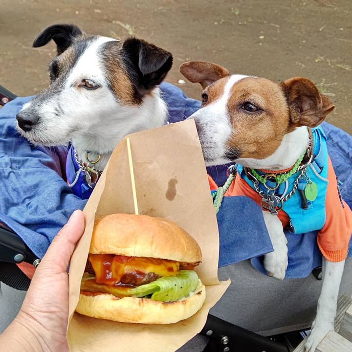 Bdbe9ee9 5365 45ea 824c e9f5915ecbf5 1651994271605