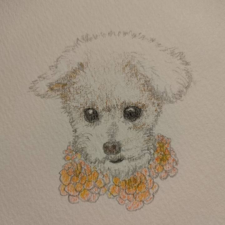 Bdbeb00e 4b1e 4f47 98f2 ddbebd5d41b3 1730560029586