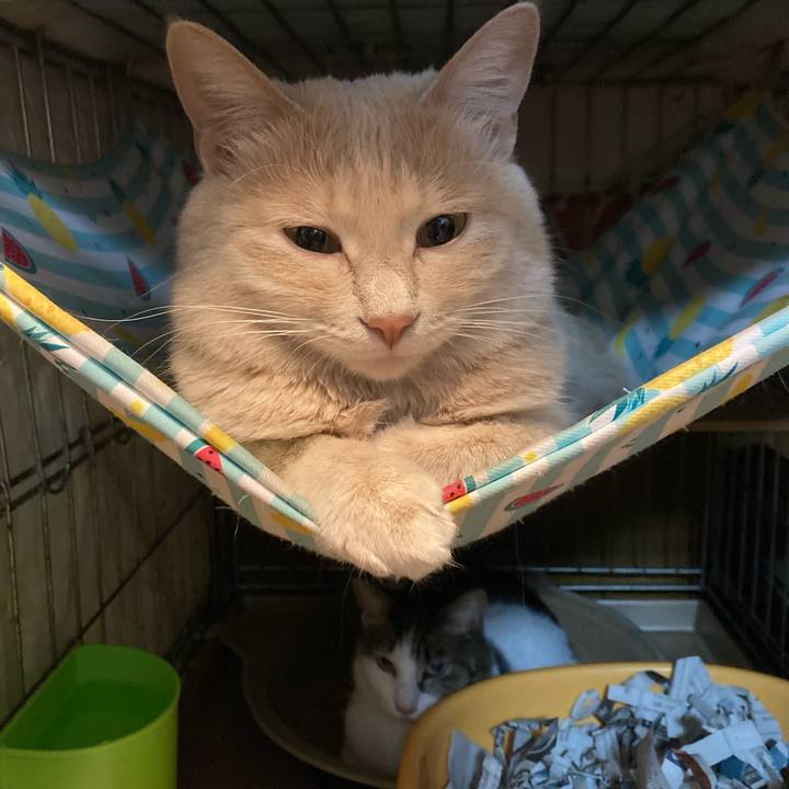 Bdbf0ff4 9dbf 4d16 bc55 6280ab439242 1769816957185