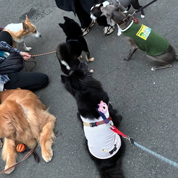 Bdbf2208 545e 4bc0 a9d7 7ec3df6b5069 1760453097910