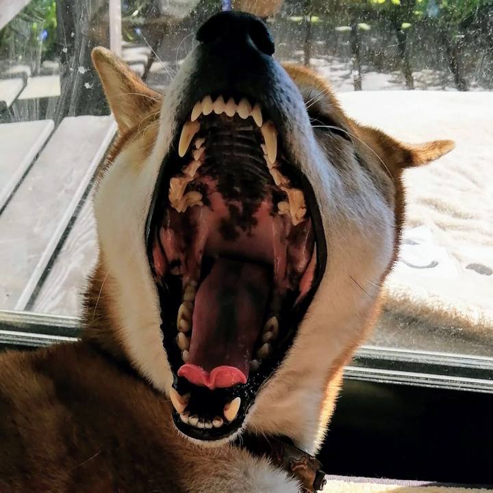 Bdbf64ca fa20 4eed a566 8e0fe0d44ccf 1585114816367