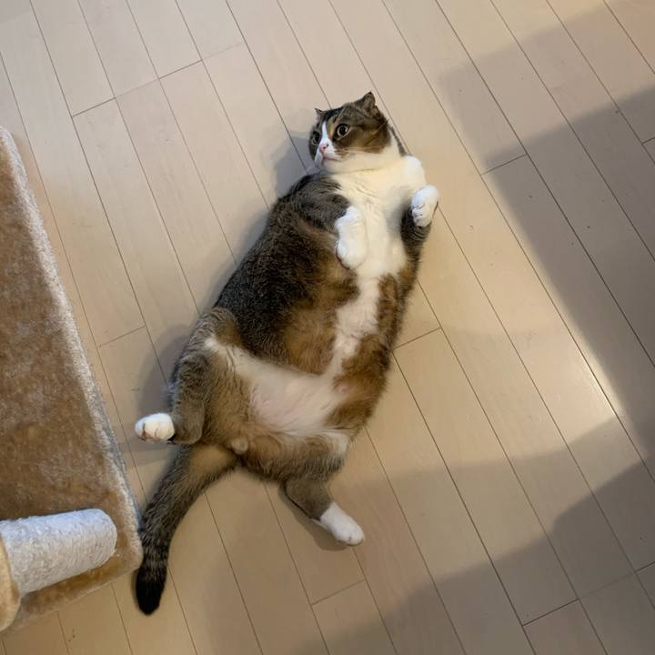 Bdbfc63b c08b 4ca6 9594 996834bbcfc1 1575415672330