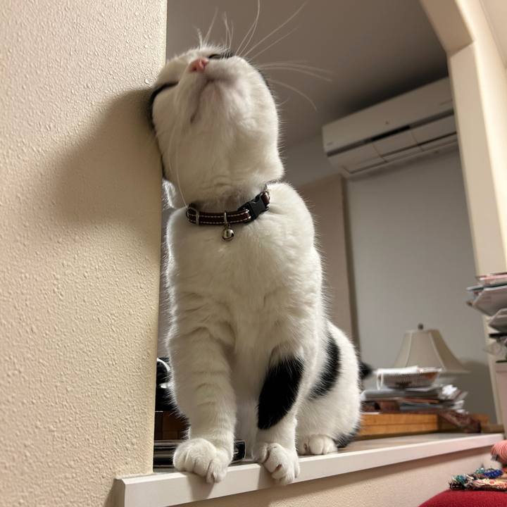 Bdbfde2e adae 45c1 b53d 94c6fc6a61ac 1774998766229