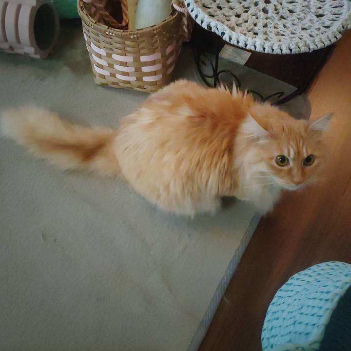 Bdc04c6c 09e3 4803 af4b c13a4dd870e7 1679436335694