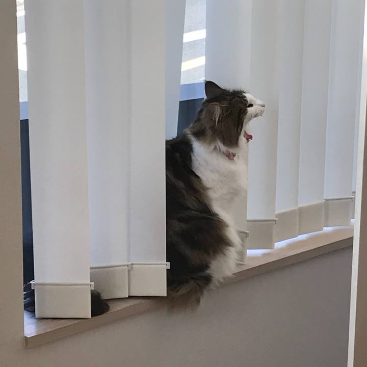 Bdc09042 498b 4033 ac39 e6eabcfc9d3a 1521706540145