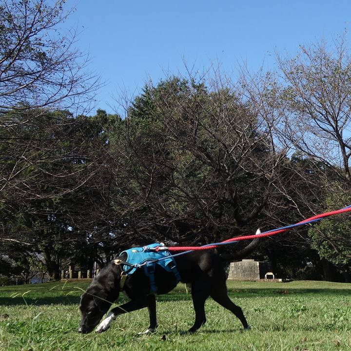 Bdc09201 f798 4f7d aebf 895d7b5c3484 1634518971995