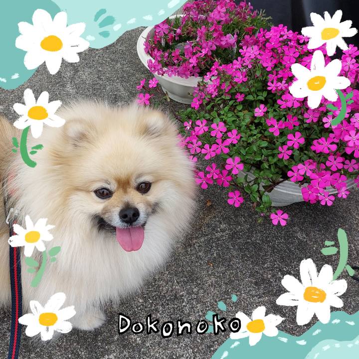 Bdc0a86b 026a 4777 974e f1f4cfa648c6 1712232052328