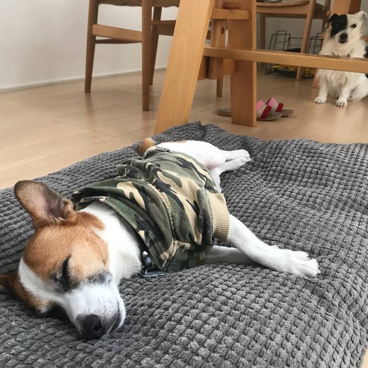 Bdc1001c e321 41f5 b9f5 860fc8529455 1536638804662