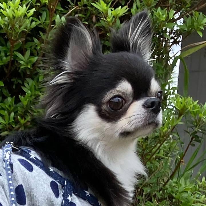 Bdc10758 a267 49ee 9252 e81f20dd4511 1650779351953