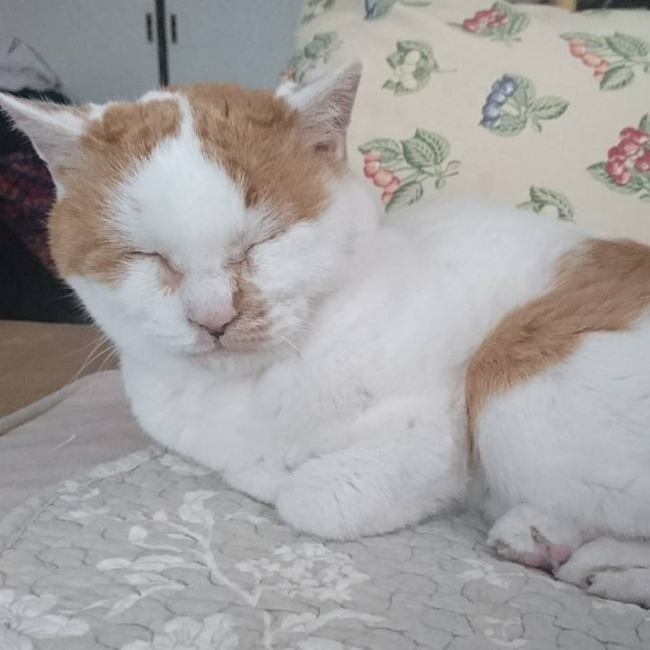 Bdc1085d d54d 4e3a a294 4d88d294360a 1556834825681