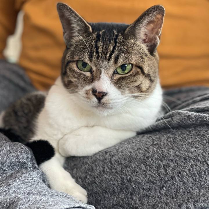 Bdc110d8 d1a5 48e3 8057 1593ebf51efa 1635385976578