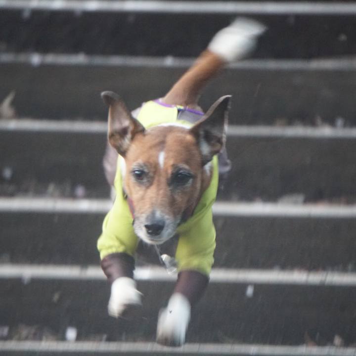 Bdc137b3 5741 4016 9b19 2b135faab570 1585781028424