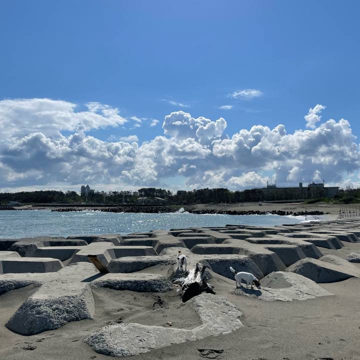 Bdc16866 720c 48c5 9471 dfe138051897 1651540154176