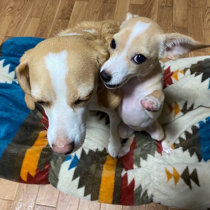 Bdc18321 a41a 4f7c a686 40e6aac03f79 1665368657749