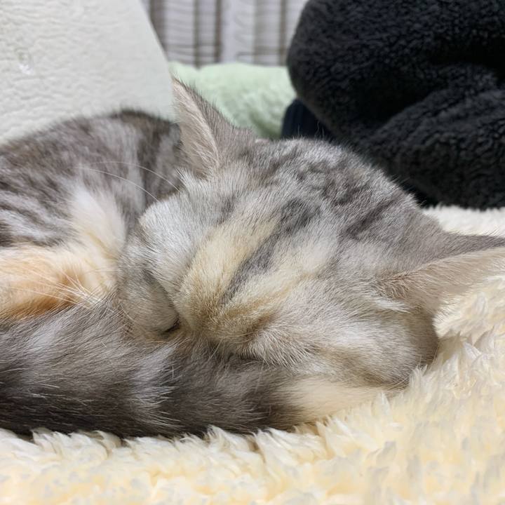 Bdc1b45d 4394 419e 8d6a 8d2beb793b76 1708700611230