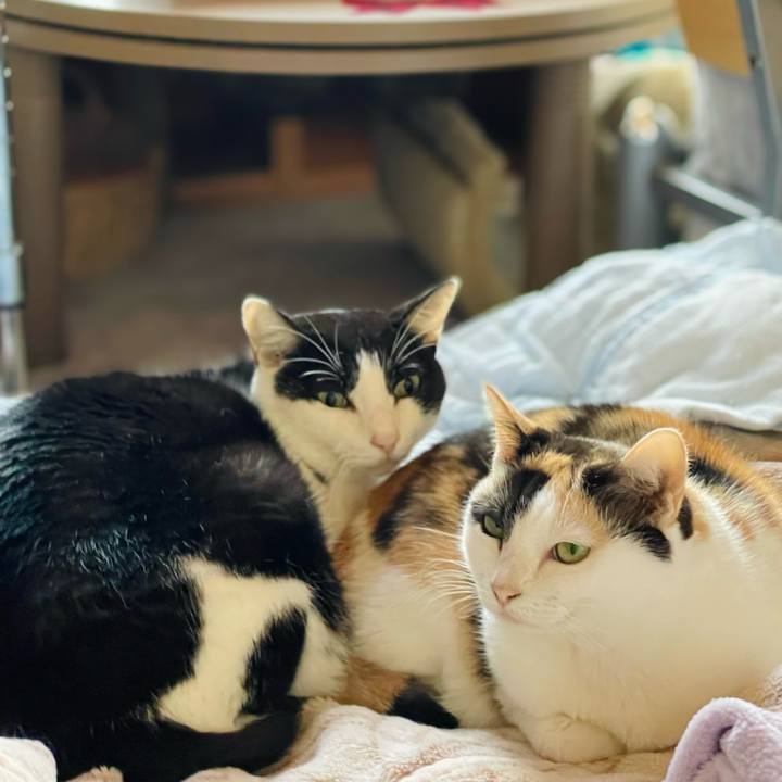 Bdc201c9 4d76 417b ae51 39f0f00d6551 1636075142882