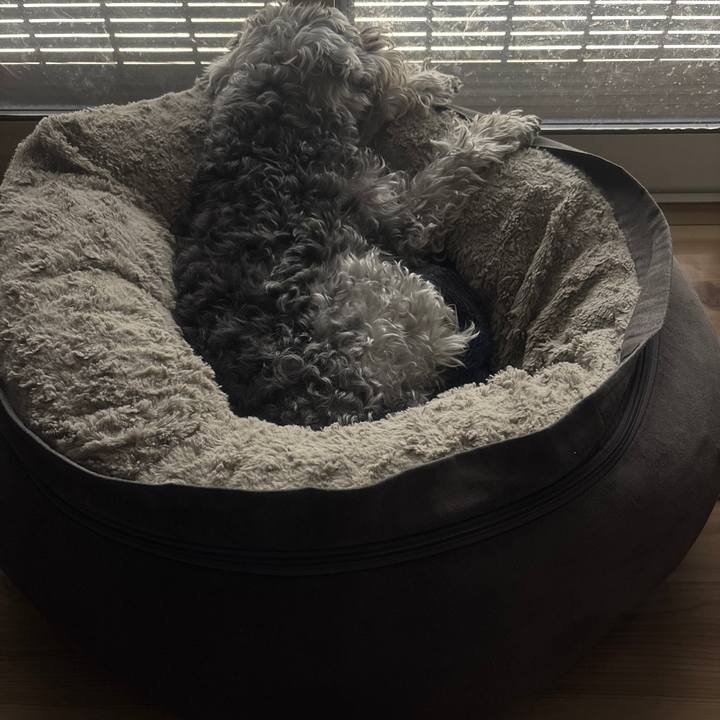 Bdc2556c 3bcc 4fb6 8765 49d4e1192c70 1772430116719