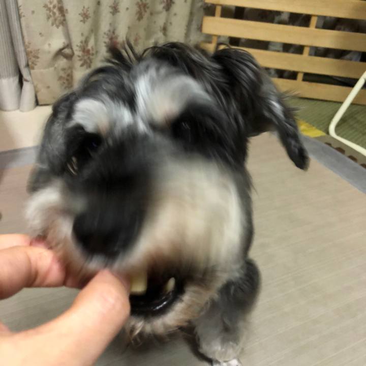 Bdc28fe2 6015 4f46 8f26 b686494a957d 1631453150112