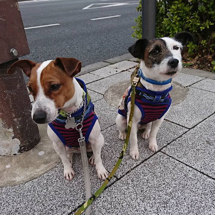 Bdc2ae77 e636 492a 9301 ab9228c94ab9 1550700824125