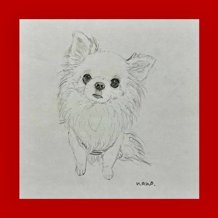 Bdc2e480 b142 4a9e 9d57 9e53956771e2 1690785411654