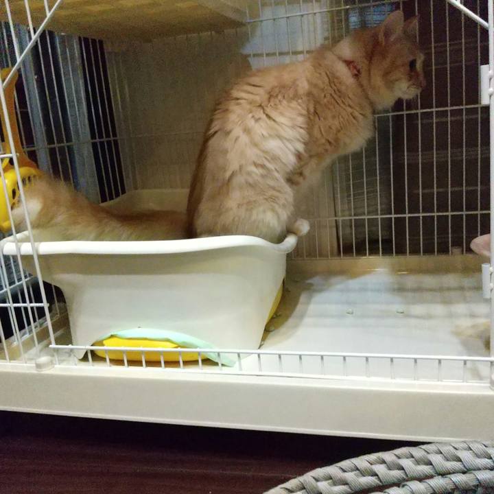 Bdc2ec19 d850 4ec2 9127 f148522d550d 1637152448557