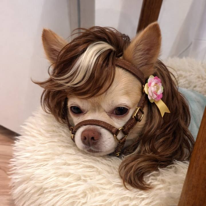 Bdc3616a e009 4074 9549 ef2bcc539164 1767367950370