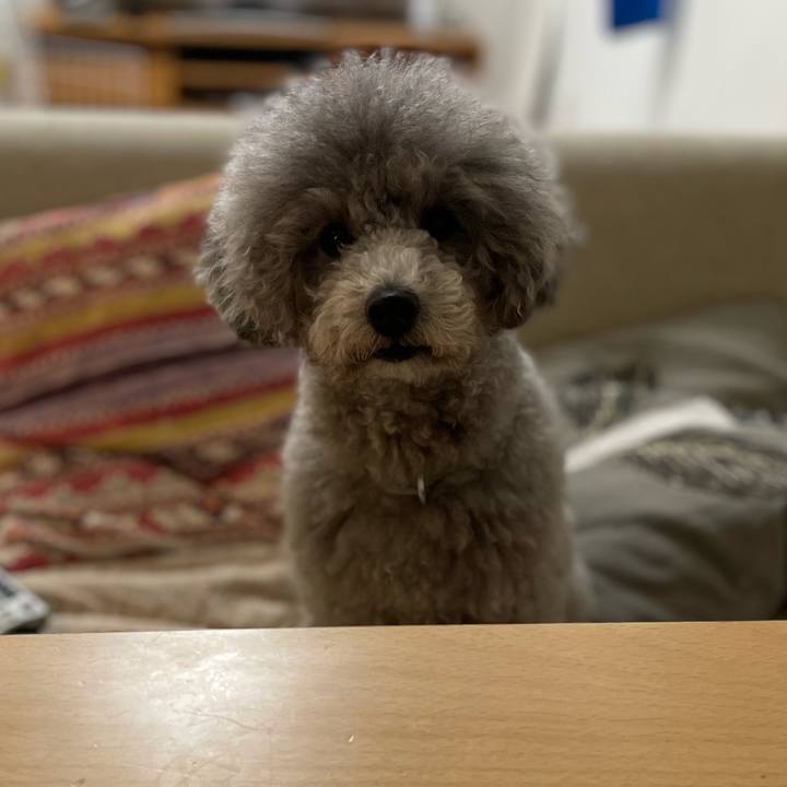 Bdc3677f 23ab 4293 9578 6c9fe1429033 1644700229288