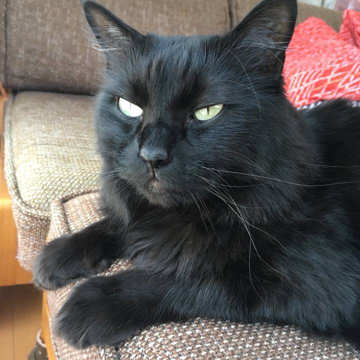 Bdc385ab d212 4117 9087 681165a118c4 1527646731582