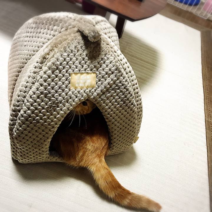 Bdc3e50c 3692 4896 922d 5367a4f07f07 1510150798420