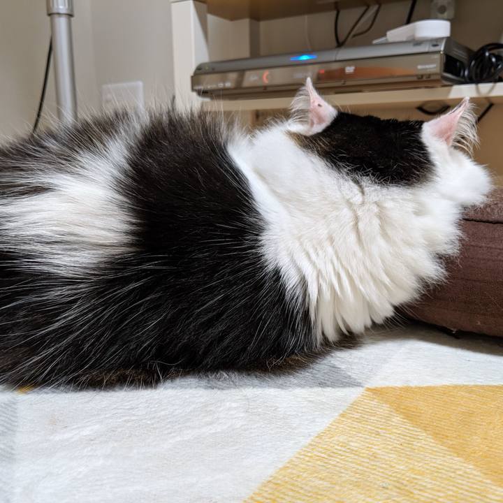 Bdc3e912 d586 4472 b396 36ded7edcbac 1566724787038