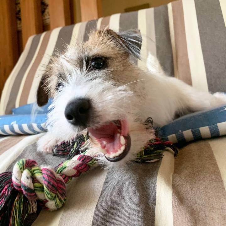 Bdc3fd32 b1be 45a8 8978 72397ad277dd 1568073601746